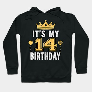 Its My 14Th Birthday 14 Years Old Boys And Girls Hoodie